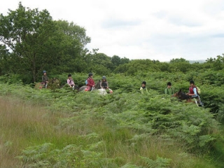  Cabalgamarra y camicrema en la naturaleza